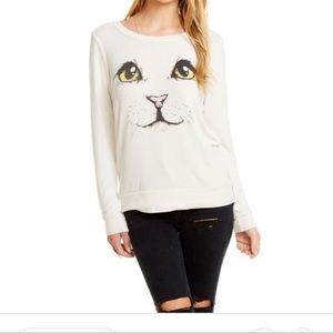 Chaser: Super Soft Cat Sweater 🐱